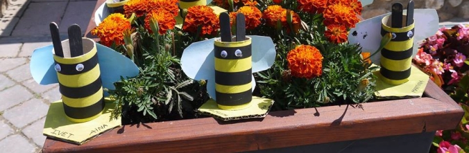 pot-abelles-amb-rull-de-paper-wc1.jpg